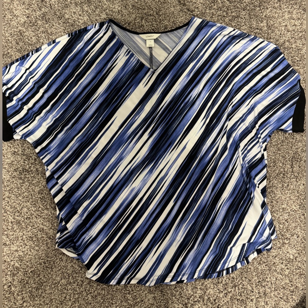 CJ Banks Blue and White Boxy Blouse